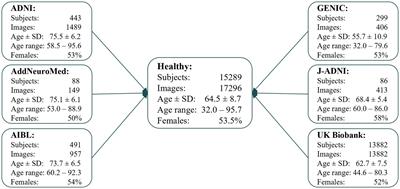A deep learning model for brain age prediction using minimally preprocessed T1w images as input